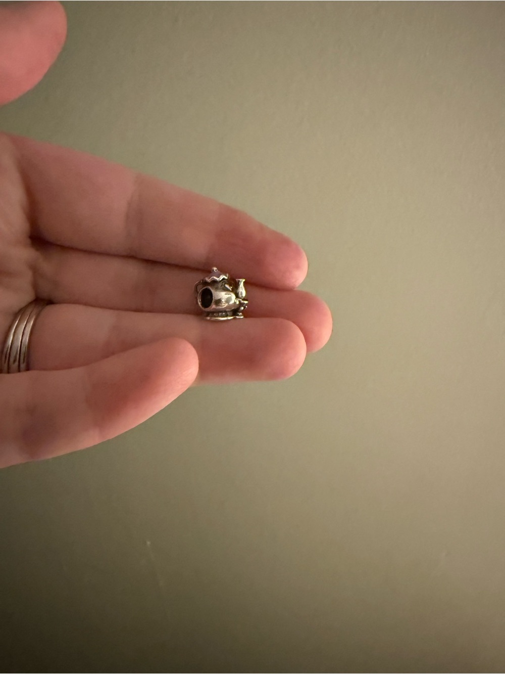 Beauty and the best Pandora charm